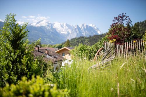 Ferienhaus „Adlerhorst“ eignet sich ideal für die ganze Familie - image 7