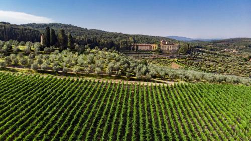Fattoria Torre a Cona