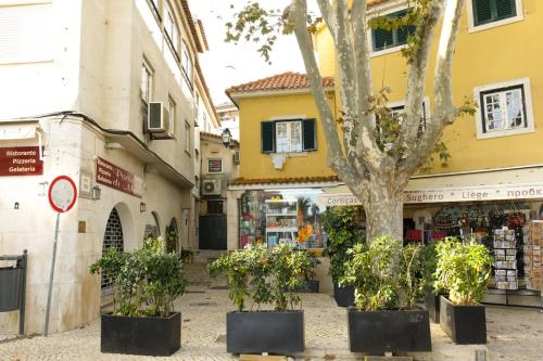 A piece of paradise in the heart of Cascais - image 8
