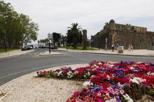 Relaxing apartment in the heart of Cascais