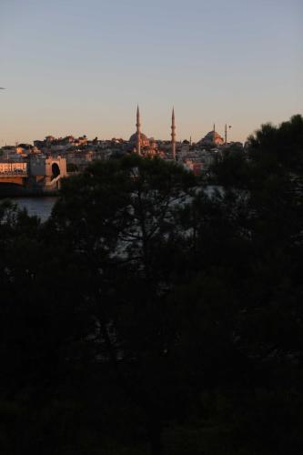 Fanus Suites Karaköy - image 13