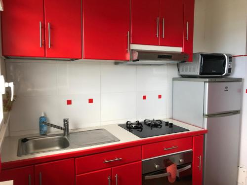 Kitchen, villa Azur A in Bouillante
