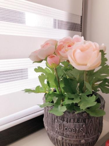 Bonjour Ski Apartment - Predeal