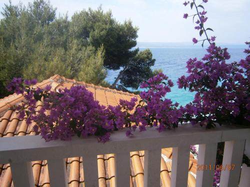 Guesthouse Seaview - image 10