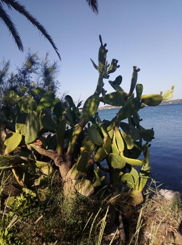 Casa vacanze mare blu 5