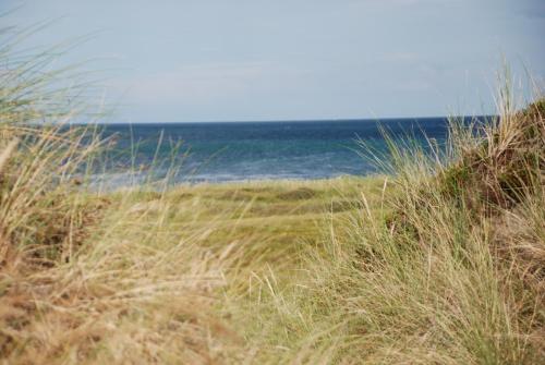 Sommerhus Farmen i Hanstholm