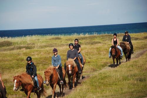 Sommerhus Farmen i Hanstholm