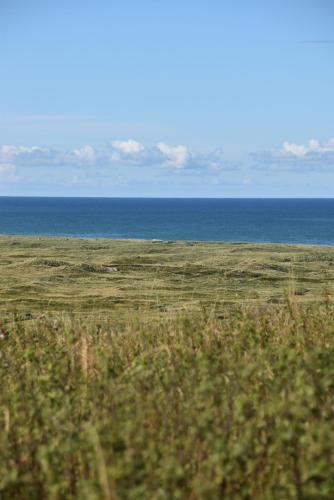 Sommerhus Farmen i Hanstholm