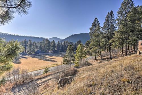 Well-Appointed Apt with Mountain and Forest Views