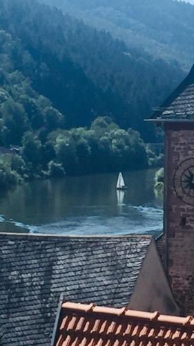 Natur und Neckarblick bei Heidelberg