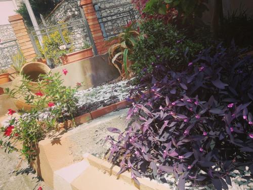 Anto's Apartment - Giardini Naxos