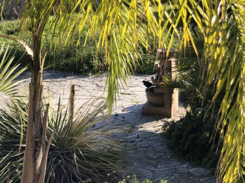  Il Giardino Di Adriana B&B in Terracina