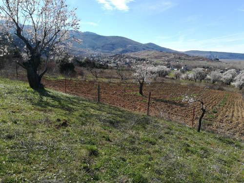 Las 3 Negrillas Las 3 Negrillas