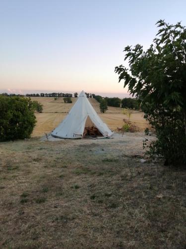 Logement insolite : Tipi gîte à louer Labessière-Candeil