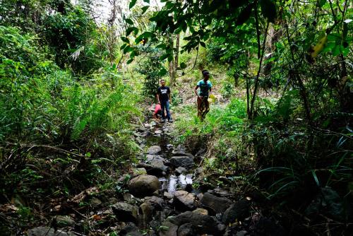 Sten Lodge eco Homestay