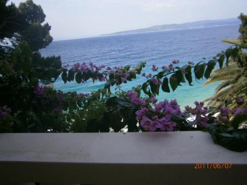 Guesthouse Seaview - image 13