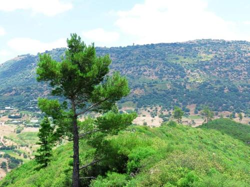 دوار اولاد يعقوب