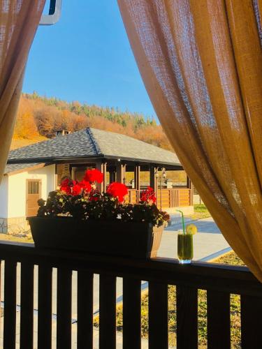 Skats, Casa Românească (Casa Romaneasca) in Putna