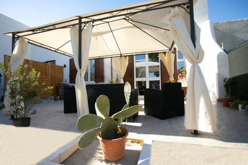 Villa Nello Room Type - Apartment