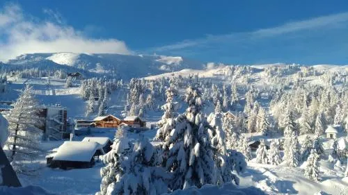 Wohnung im Herzen der Turracher Höhe in Brandstätter, Österreich