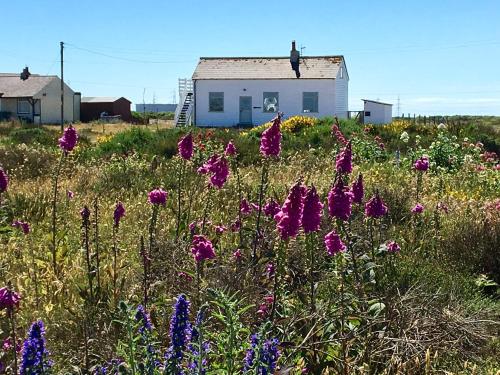 Charming Original Fishermans Cottage On Dungeness Beach, Lydd, Kent