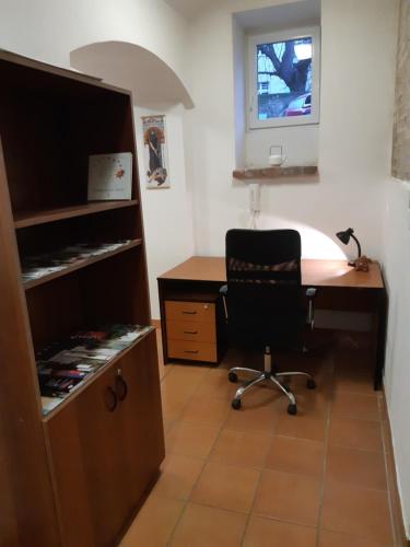 Studio Voluntário - image 7