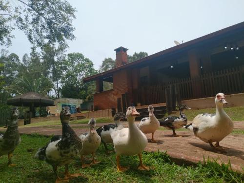Chacara c/ 50 mil metros lago+piscina