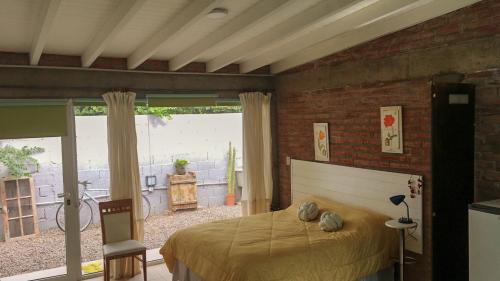 Cactus in 코모도로 리바다비아