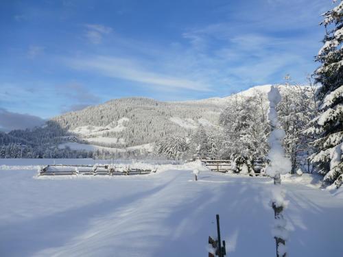 Apartment with Mountain View