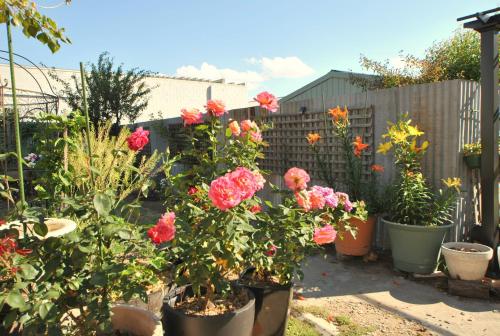 Cooma Cottage