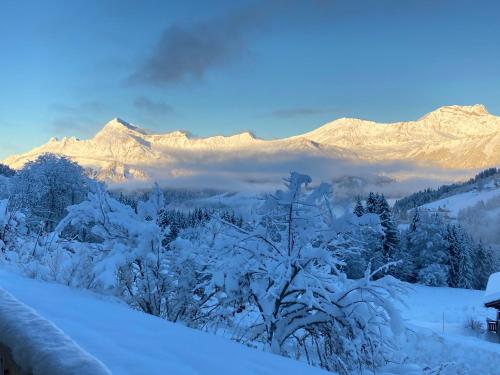 Chalets Savoie - image 7