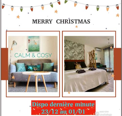 Calm & Cosy, magnifique T1 proche CHU, Saint-Pierre (photo 2)