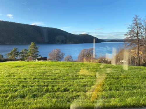 Funky cabin with a panoramic view of the Oslofjord