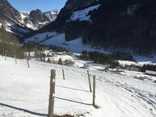 Ferienwohnung ob Vierwaldsättersee