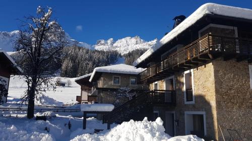  Comelico Chalet in Padola