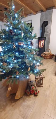 Ostoja Jaworskie in 斯特里沙華