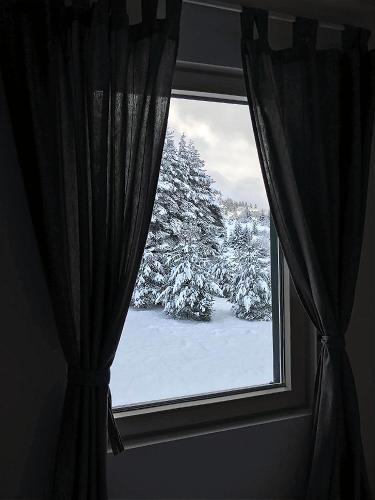Apartment A6 Kopaonik - main image