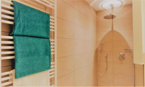 BodenSEE City Apartment Friedrichshafen CASA GRAF - image 4