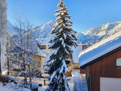 cellier 7, Les Deux Alpes (fotografie 7)