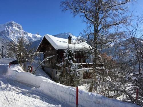 Chalet Blanche Neige - Gryon