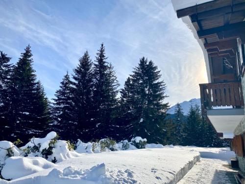 Chalet Wulli in der Nähe der Skianlagen Savognin (Chalet Wulli in der Nahe der Skianlagen Savognin) in Riom-Parsonz