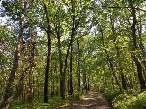 A környék, Gîte LA BERGERIE (Gite LA BERGERIE) in Neuville Bosc