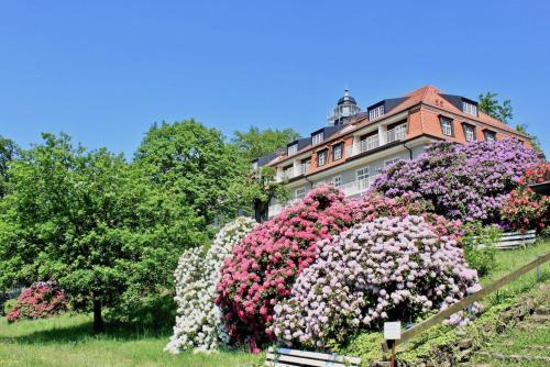 Ferienwohnung Natur und Kunst in Dresden, Deutschland