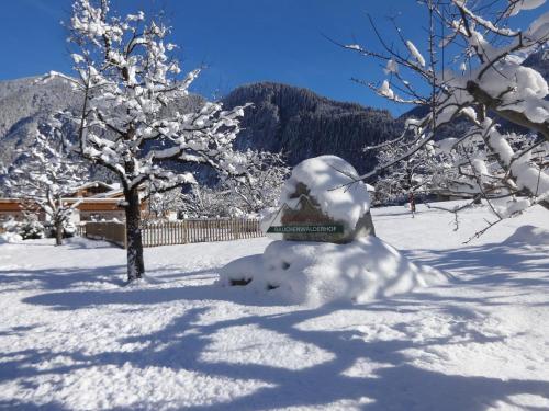 Landhotel Rauchenwalderhof – Mayrhofen, IL