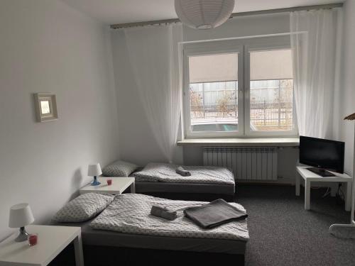 Hostel Czecha - image 6