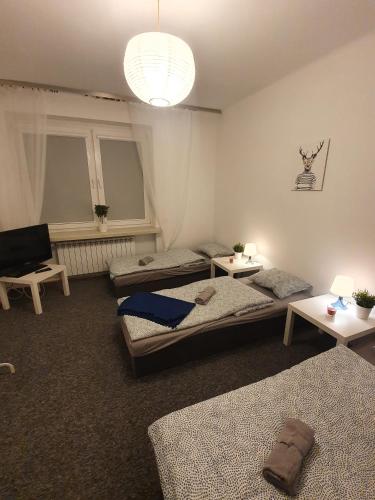 Hostel Czecha - main image