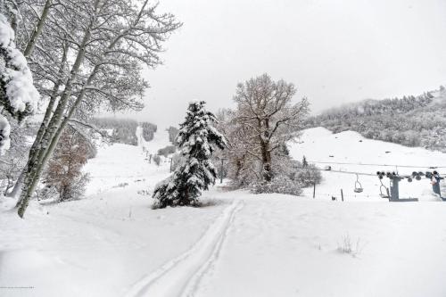 Aspen Mountain Condominiums 1C - image 4