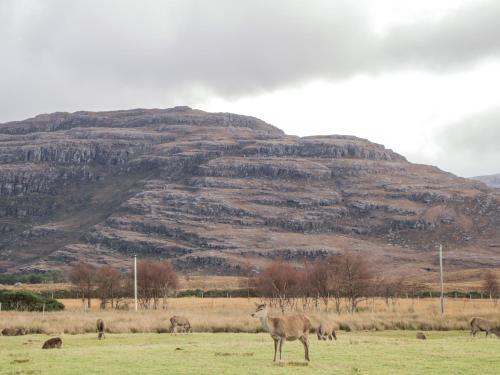 Stalker's Cottage - Torridon in Акнашін