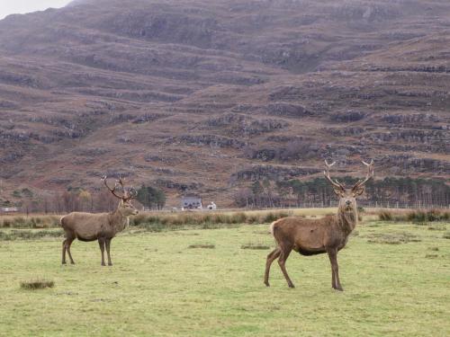 Stalker's Cottage - Torridon in Акнашін