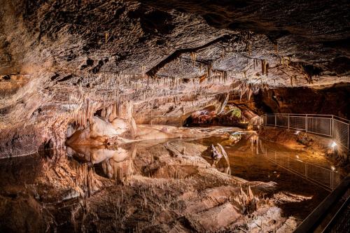 Le Bois d'Imbert - image 2